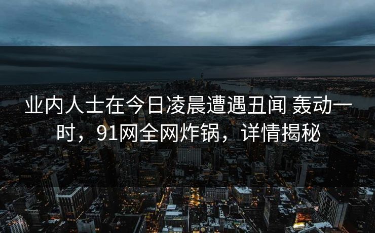 业内人士在今日凌晨遭遇丑闻 轰动一时，91网全网炸锅，详情揭秘